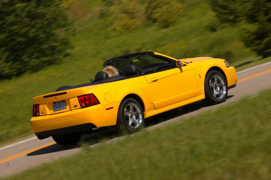  Ford Mustang SVT Cobra Convertible 2002 года  (фото 32 из 103)
